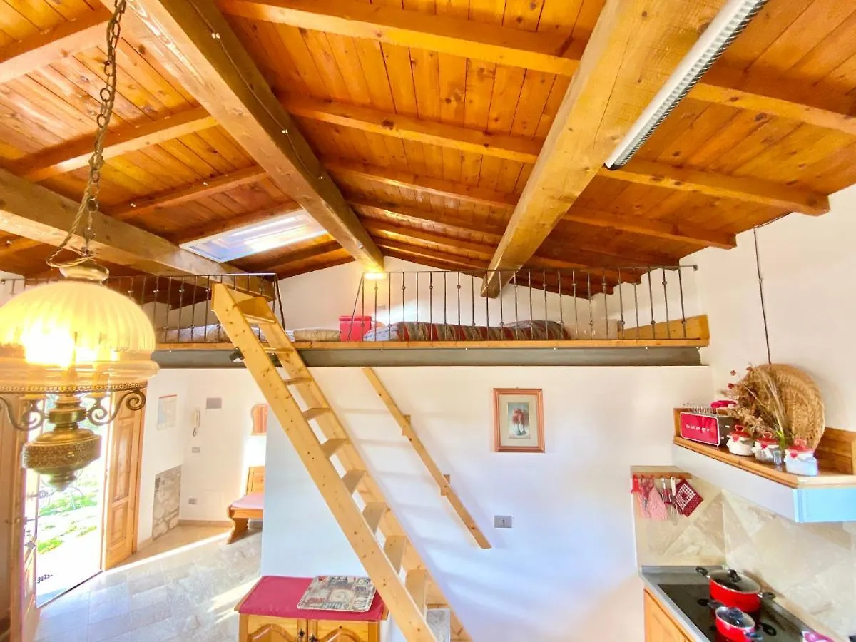 Il Canneto Di Pomaia Farm stay