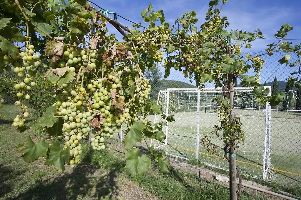 Farm stay Il Canneto Di Pomaia Italy